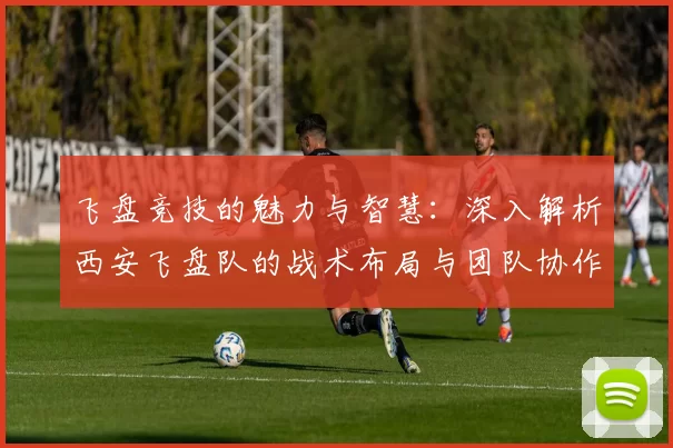 飞盘竞技的魅力与智慧：深入解析西安飞盘队的战术布局与团队协作MBA