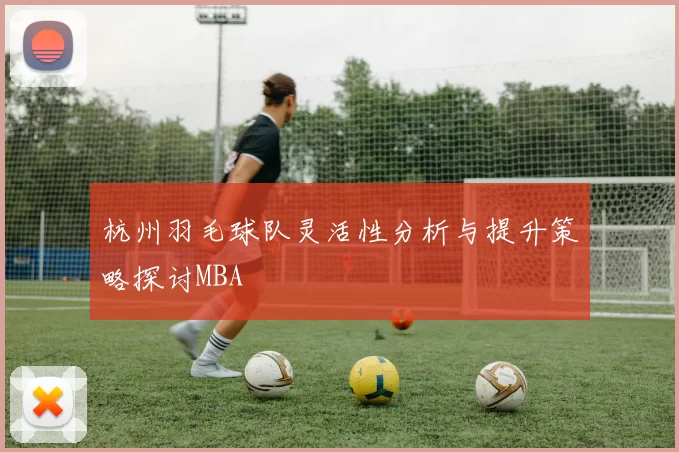 杭州羽毛球队灵活性分析与提升策略探讨MBA
