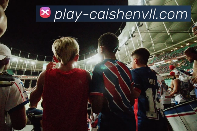 彩神vll 官网平台生态图