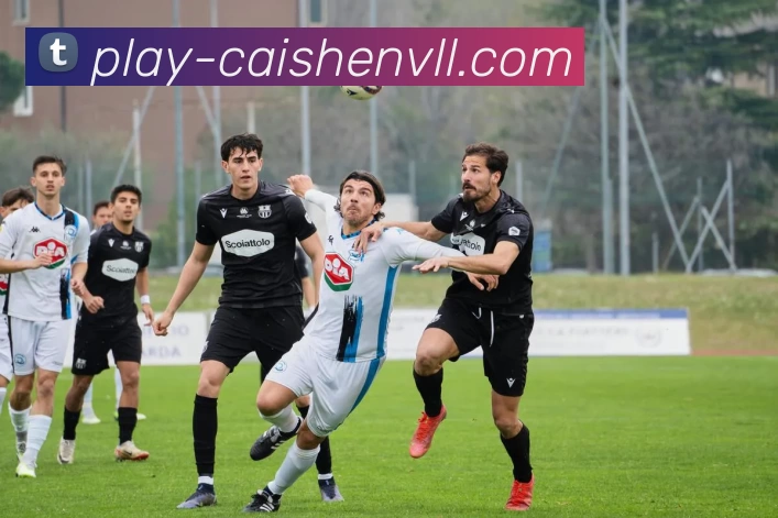 彩神vll 官网平台生态图