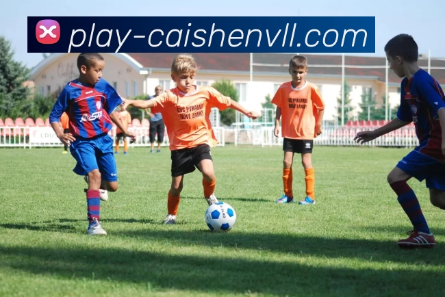 彩神vll 官网APP 封面图