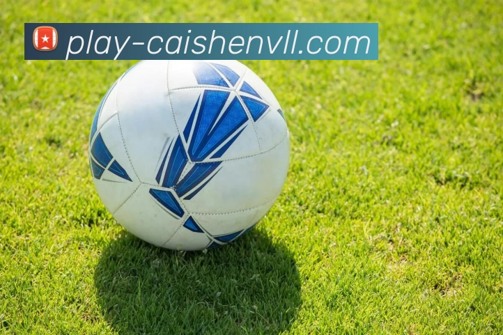 彩神vll 官网APP 封面图